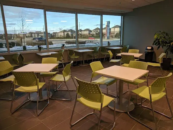 The bright dining room at Fit For Life Cafe, with lime-green chairs and floor-to-ceiling windows overlooking The Boardwalk in Waterloo
